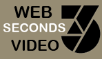 Web Video Producers